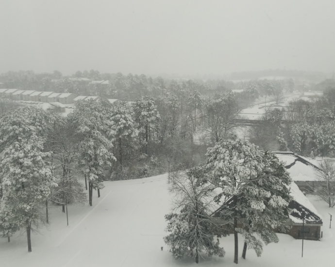 Snow covered trees and buildings in Maumelle, AR January 10, 20225