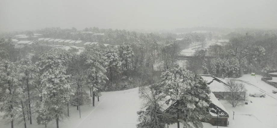 Snow covered trees and buildings in Maumelle, AR January 10, 20225